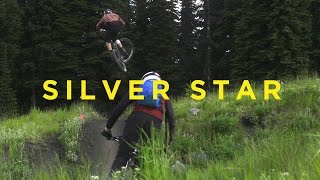 Silver Star Shralp Squad