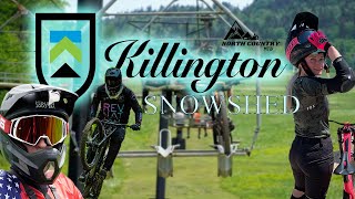 Killington Bike Park SNOWSHED | 2021 DH MTB