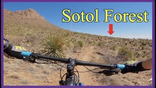 Sotol Loop | Mountain Biking at Franklin...