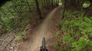 Screaming Trees | Harold Town Conservation...