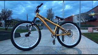 CUSTOM DIRT JUMP MTB BIKE CHECK - NS BIKES DECADE