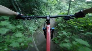 Trail 140 part 2 : Mt Spokane - June 16 2021...
