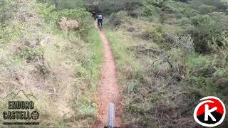 Mas de Rita (Jabalí)