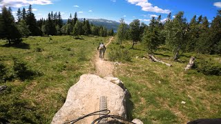 Viper, Lofsdalen Bike Park | MTB Full Run