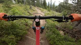 Pinch Flat: Schweitzer Bike Park  - June 20...