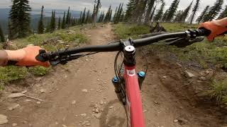 Bear Grass : Schweitzer Bike Park  - June 19...