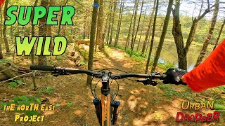 Beebe Hill State Forest & Harvey Mountain...