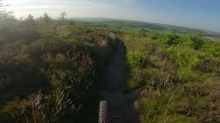 Kirkhill forest-Fast Forwarder