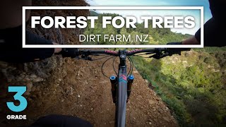 THE SCENIC WAY - Forest For Trees Mountain...