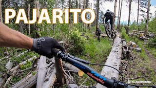 Pajarito Bike Park | New Mexico