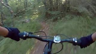 Dvori XC trail - June 2021