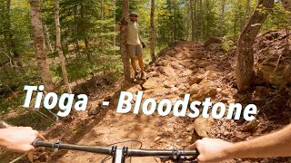 Bloodstone Trail + CRASH + PORCUPINE at Tioga...