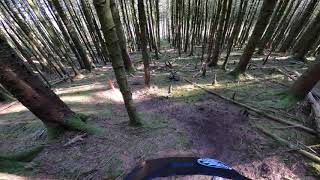 Bikepark Dent - Chuck and Norma