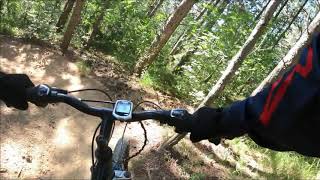 Tinjan Puding trail (July 2021)