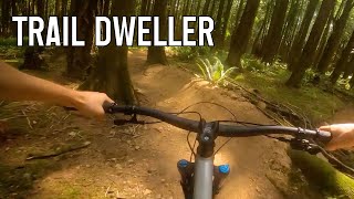 Thornhill - Trail Dweller 2021
