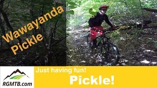 Where to mountain bike? - Wawayanda State Park...