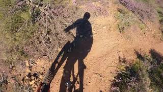 Echidna Park // Flat Earth Theory // Insta360 Go2