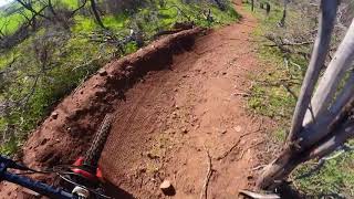 Echidna Park // Chemtrails // Insta360 Go2