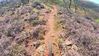 Echidna Park // Homing Beacon // Insta360 Go2