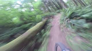 Hydra // Mountain Biking