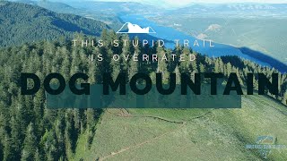 Hiking Dog Mountain