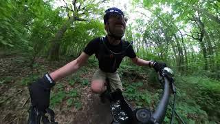Vaccinated Chicken MTB Kent