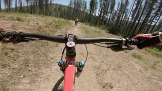 White Tail : Lookout Pass  - July 3 2021 |...