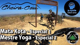 Mata Xota e Mestre Yoga, TREINO VIRTUAL da...