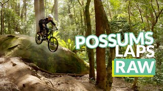 First Possums MTB session in years!