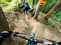 Pro Lines and Black Trails in Fernie Bike Park