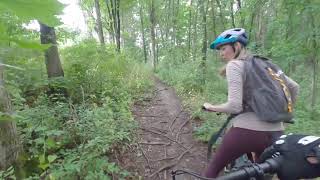 Beaver-Stewart State Forest