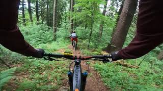 Awesome new Jackie trail in Postăvaru...
