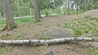 June 1, 2021 P2 the forest is my playground.