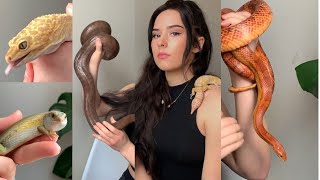 I HAVE SNAKES?!
