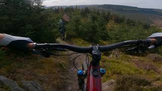 Hidden Gold in the Tweed Valley!