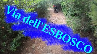 MTB Livorno sentiero VIA dell'ESBOSCO 13.06.2020