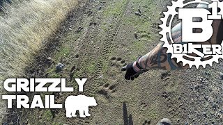 Grizzly Trail - Mammoth Bar OHV - Auburn, Ca -...