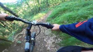 Korte DH leva (flow line) - july 2021