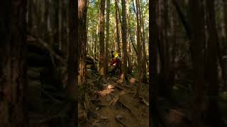 ⚡️Mtb Failure and then SUCCESS ...