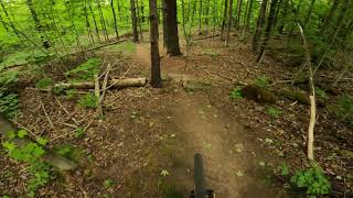 Cheap Trick | Arkell Springs | MTB