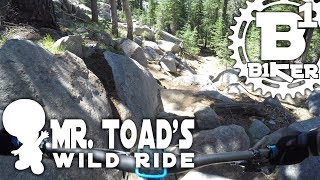 Mr. Toads Wild Ride - Big Meadows - South Lake...