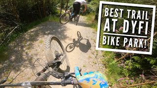 PARTY TRAINS DOWN THE BEST BIKE PARK IN WALES!!