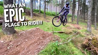 THESE TRAILS BLEW MY MIND! BEST TRAILS WE’VE...