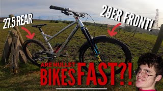 ARE MULLET BIKES THE FUTURE?? Back to back...