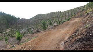 MTB over Sixty - Go Go Gadget - Cougar MTB Park