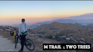 M Trail // Two Trees + Austin Gets run over by...