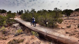 True Singletrack