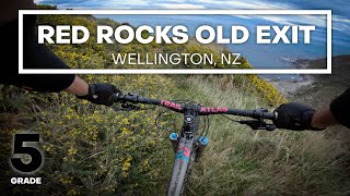 GORSE, ANYBODY? - Red Rocks Old Exit Mountain...