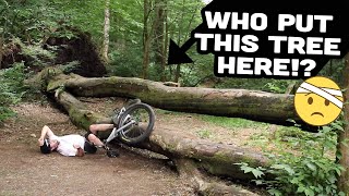 The Most Difficult Challenge I've Faced Yet!