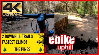 The Pines Downhill MTB Single Track - OG &...